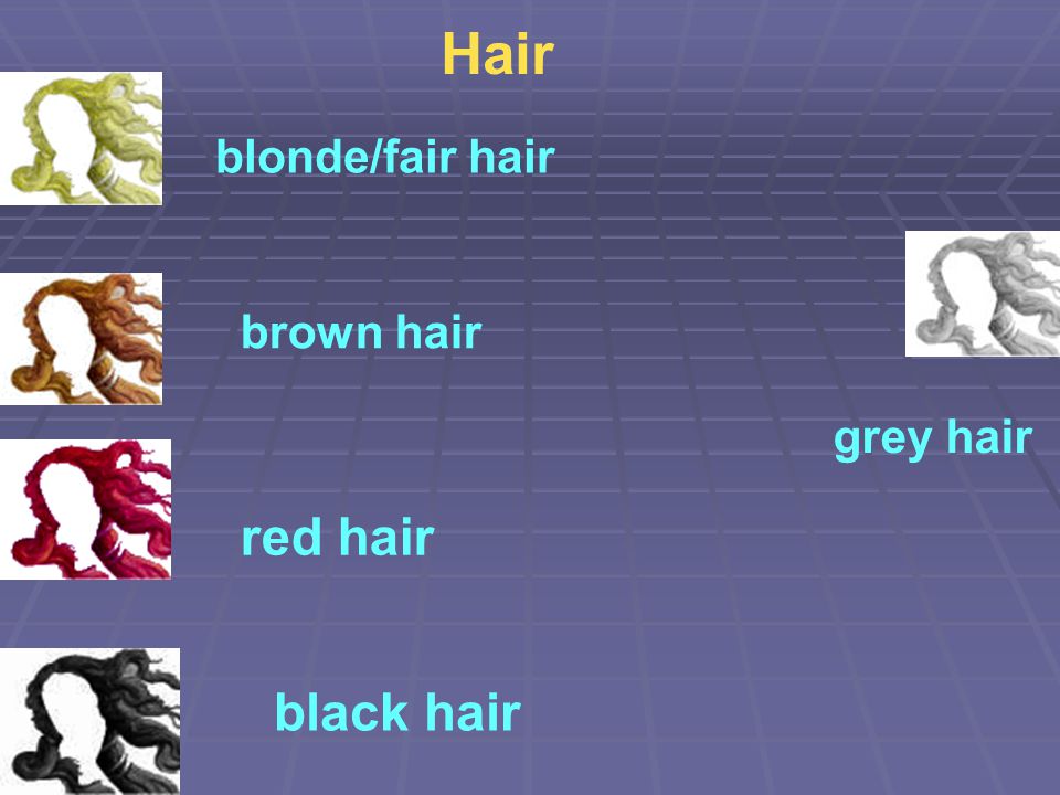 Hair blonde/fair hair brown hair grey hair red hair black hair