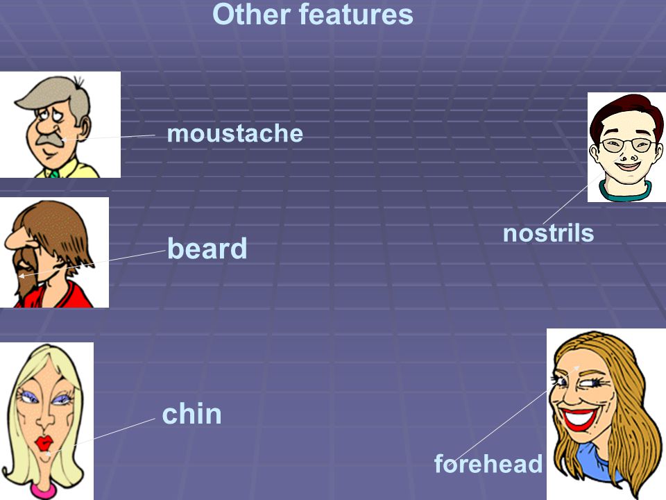 Other features moustache nostrils beard chin forehead