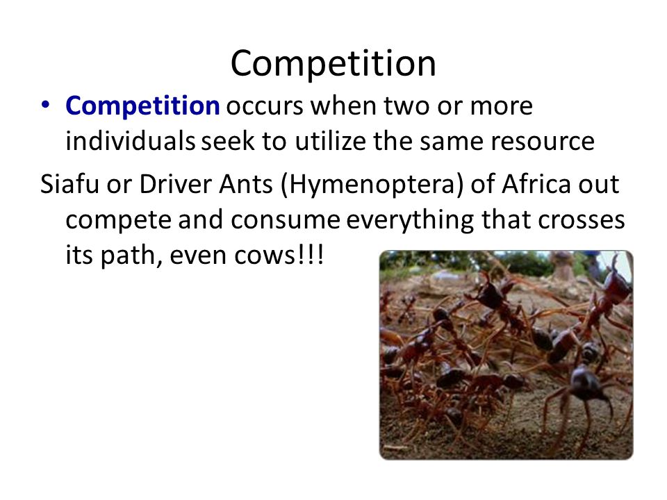 Competition Competition occurs when two or more individuals seek to utilize the same resource.