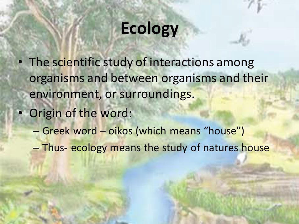 Ecology The scientific study of interactions among organisms and between organisms and their environment, or surroundings.