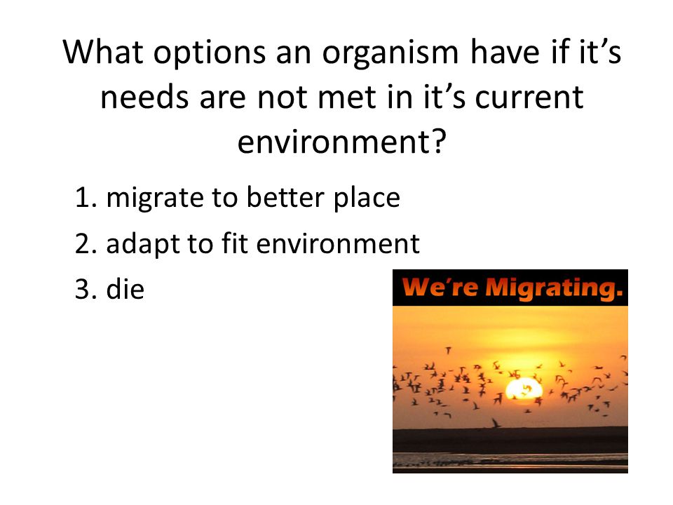 What options an organism have if it’s needs are not met in it’s current environment
