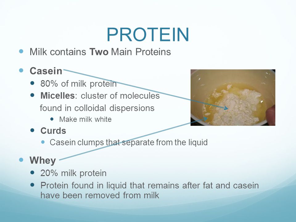 PROTEIN Milk contains Two Main Proteins Casein Whey