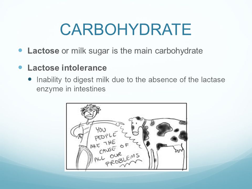CARBOHYDRATE Lactose or milk sugar is the main carbohydrate