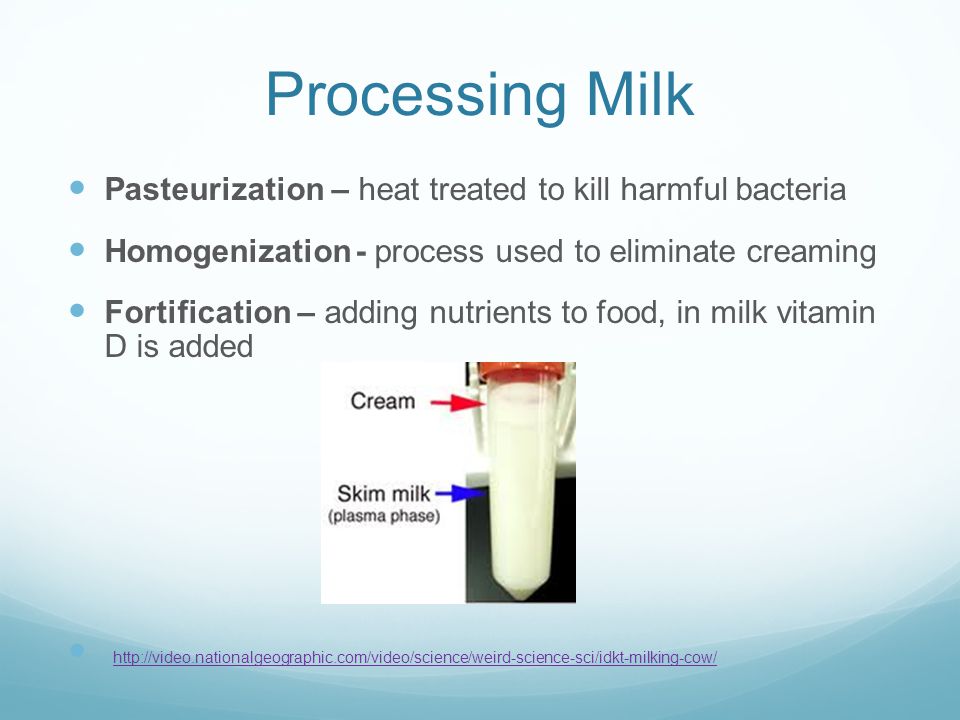 Processing Milk Pasteurization – heat treated to kill harmful bacteria