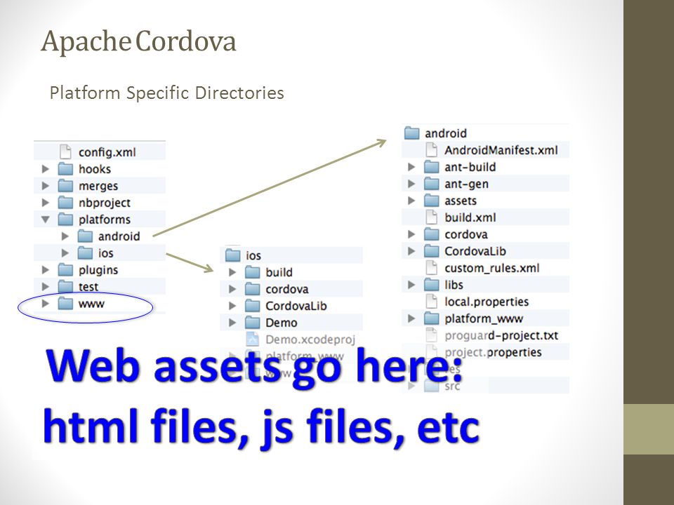 Web asset. Apache структура каталогов. Padrino структура каталогов Test. Apache Cordova примеры работ.