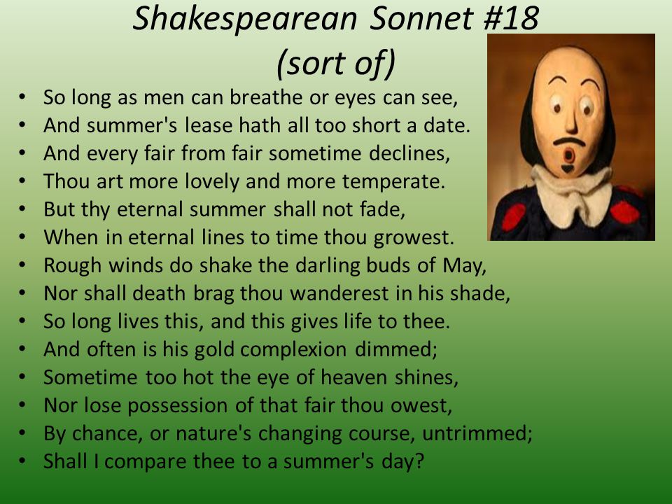 Shakespearean Sonnet #18 (sort of)