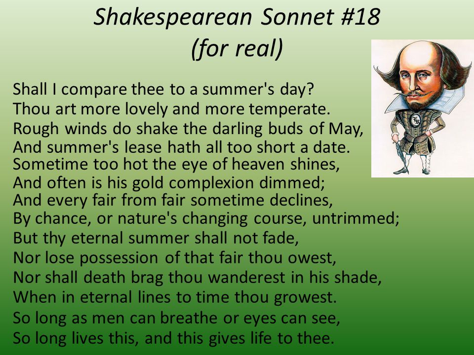 Shakespearean Sonnet #18 (for real)