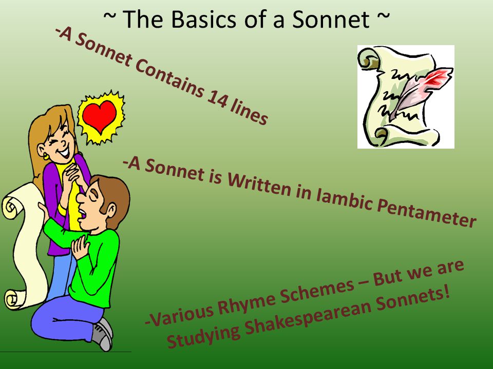 ~ The Basics of a Sonnet ~