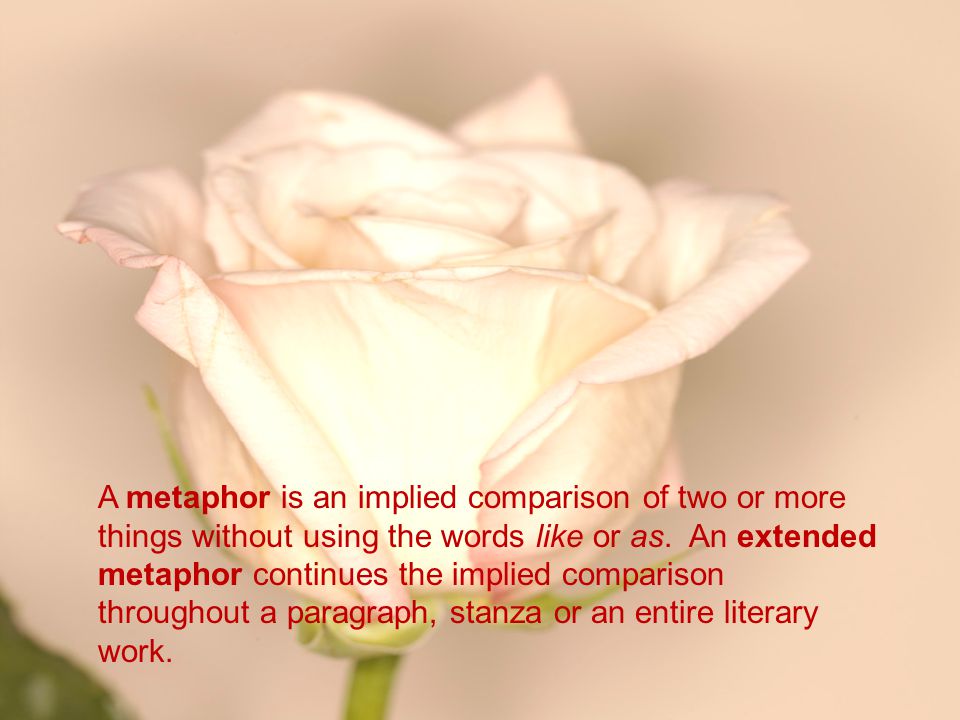 A metaphor is an implied comparison of two or more things without using the words like or as. An extended metaphor continues the implied comparison throughout a paragraph, stanza or an entire literary work.