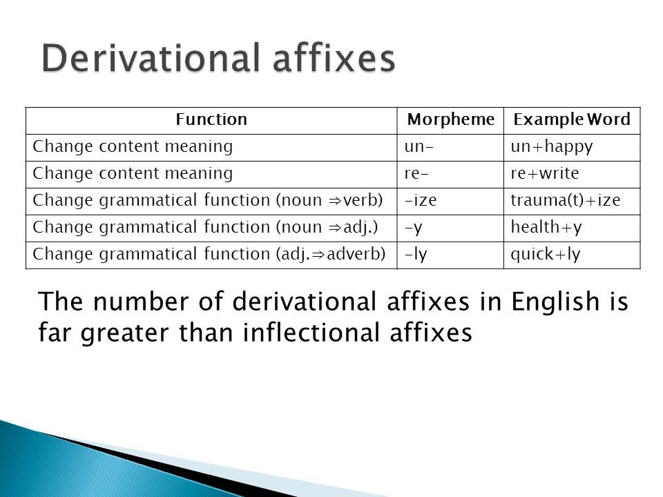 Morphology A Review Ppt Download