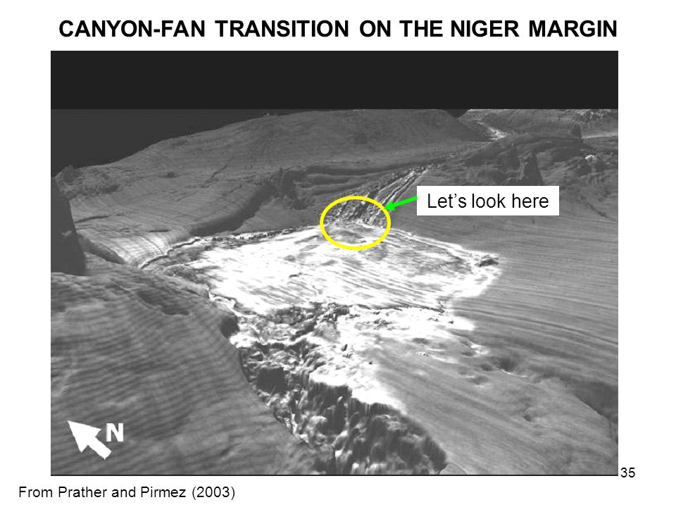 CANYON-FAN TRANSITION ON THE NIGER MARGIN