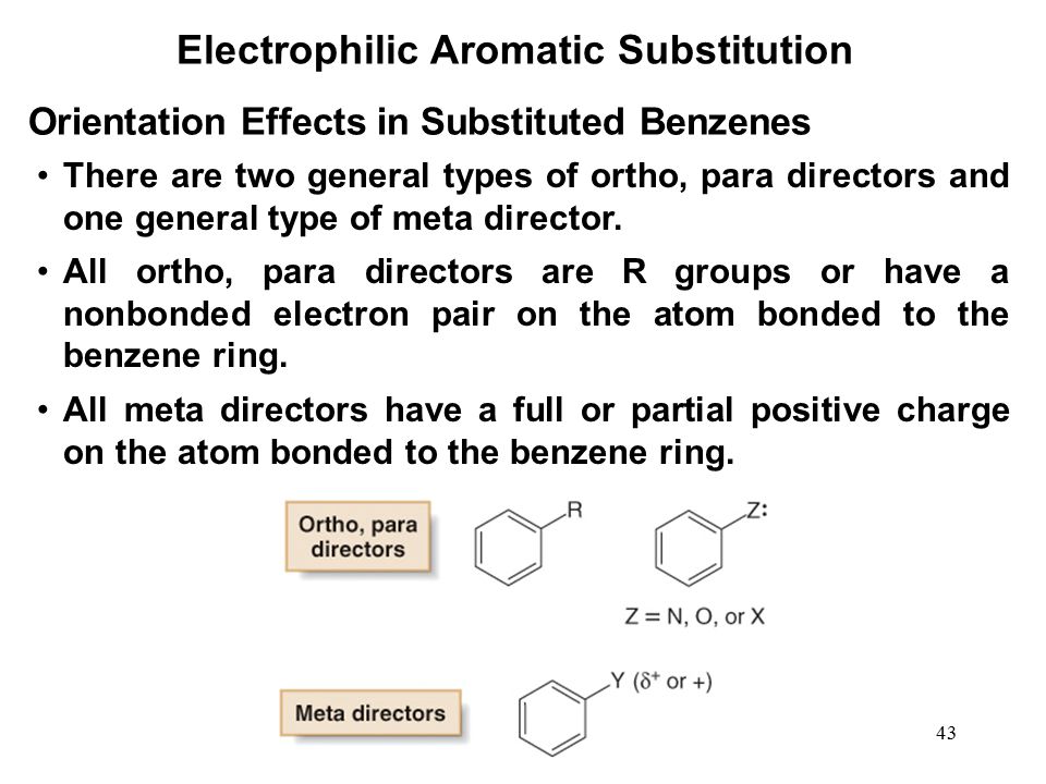 Orientation in Electrophilic Substitution Reactions of Benzene |Ortho, Meta  and Para Positions| - YouTube