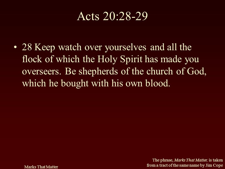 Acts 20:28-29