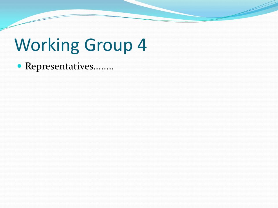 Working Group 4 Representatives