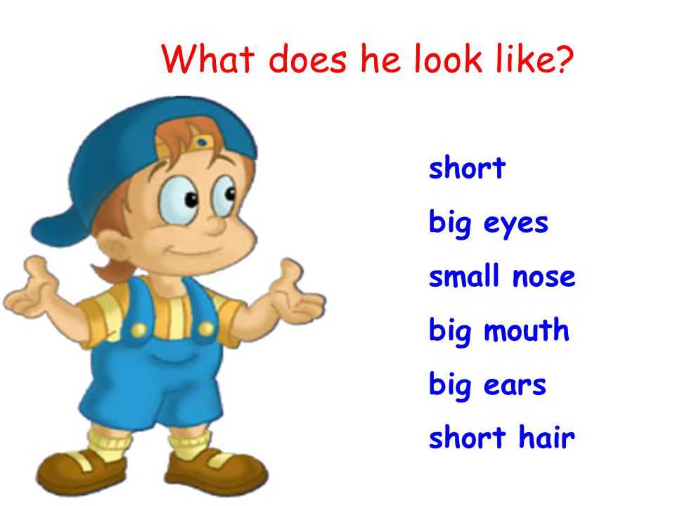 Presentation on theme: "What does he look like?."