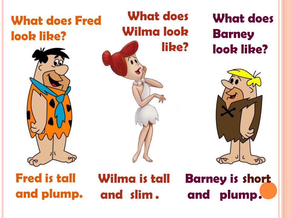 What does Wilma look like What does Barney look like What does Fred look like Fred is tall and plump.
