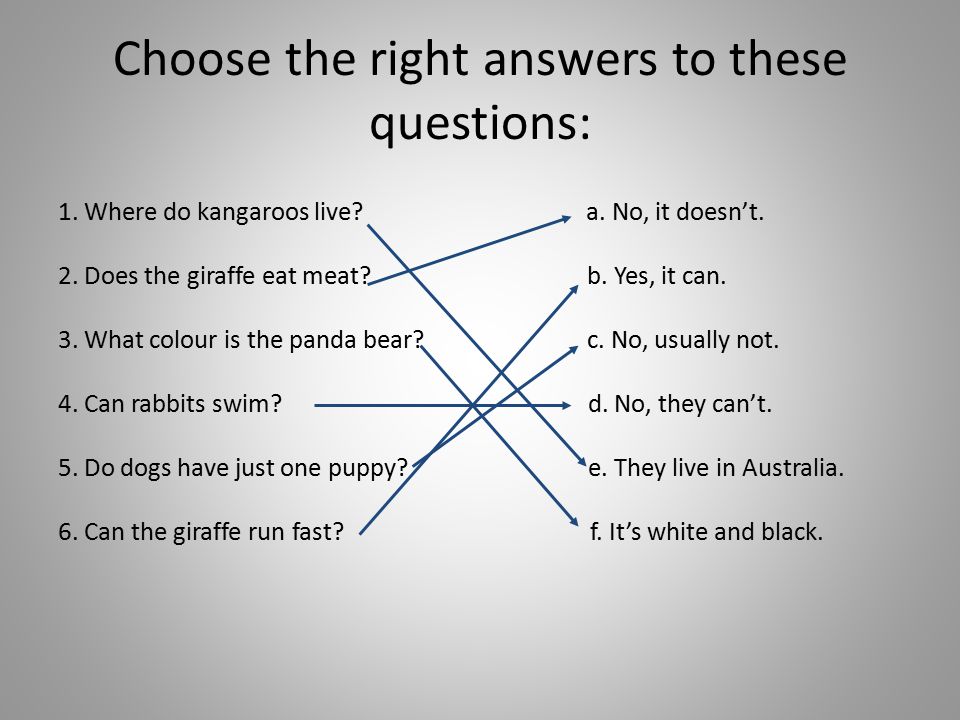 Find the right answers. Choose the right answer. Where do Kangaroos Live. Right answer.