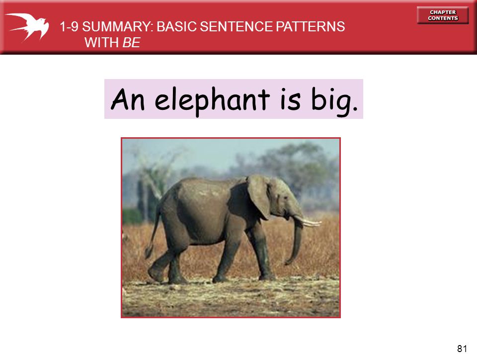 Elephant перевести. Elephants big перевести на русский. He is an Elephant. Stomp like an Elephant задания для детей. Contents Elephants.