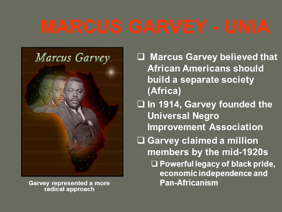 Garvey represented a more radical approach