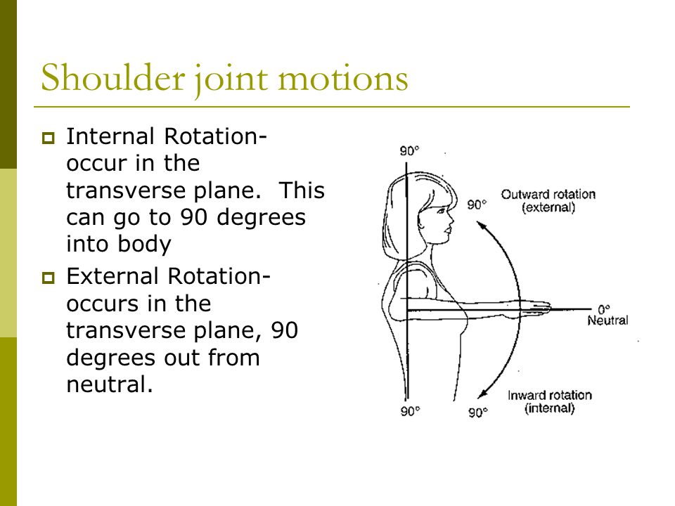 Shoulder+joint+motions.jpg