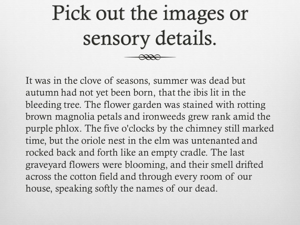 Pick out the images or sensory details.