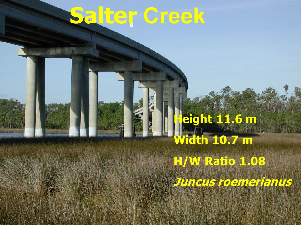 Salter Creek Height 11.6 m Width 10.7 m H/W Ratio 1.08