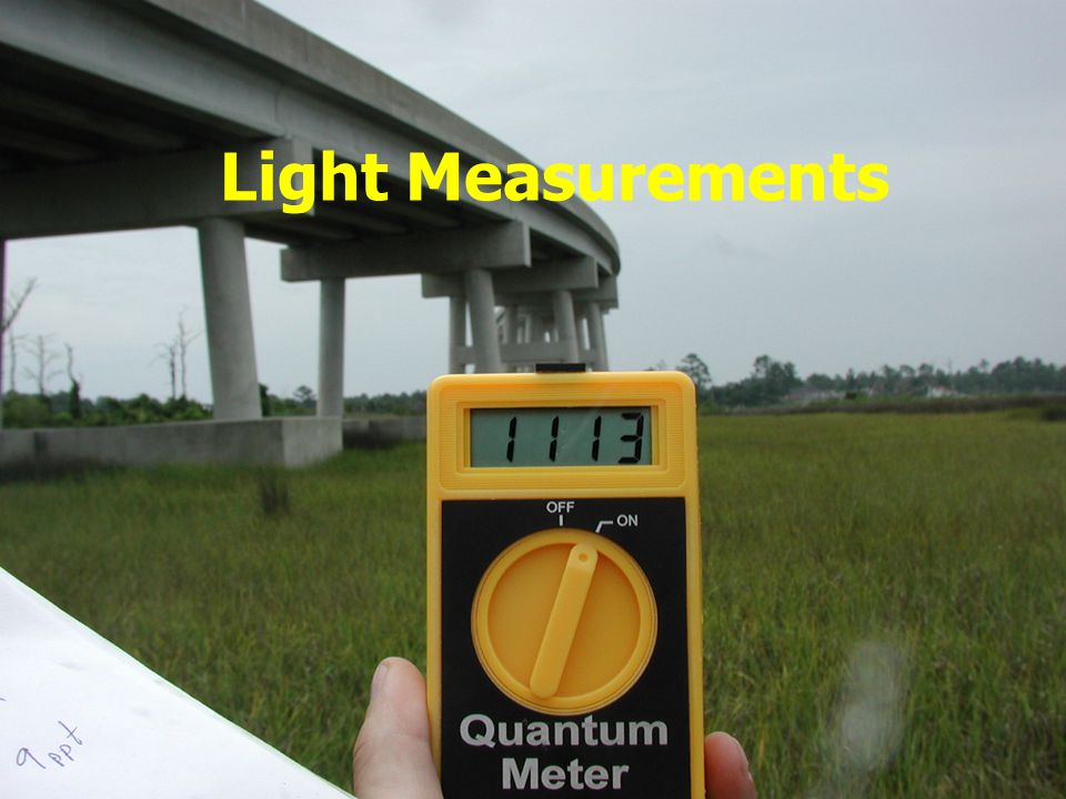 Light Measurements