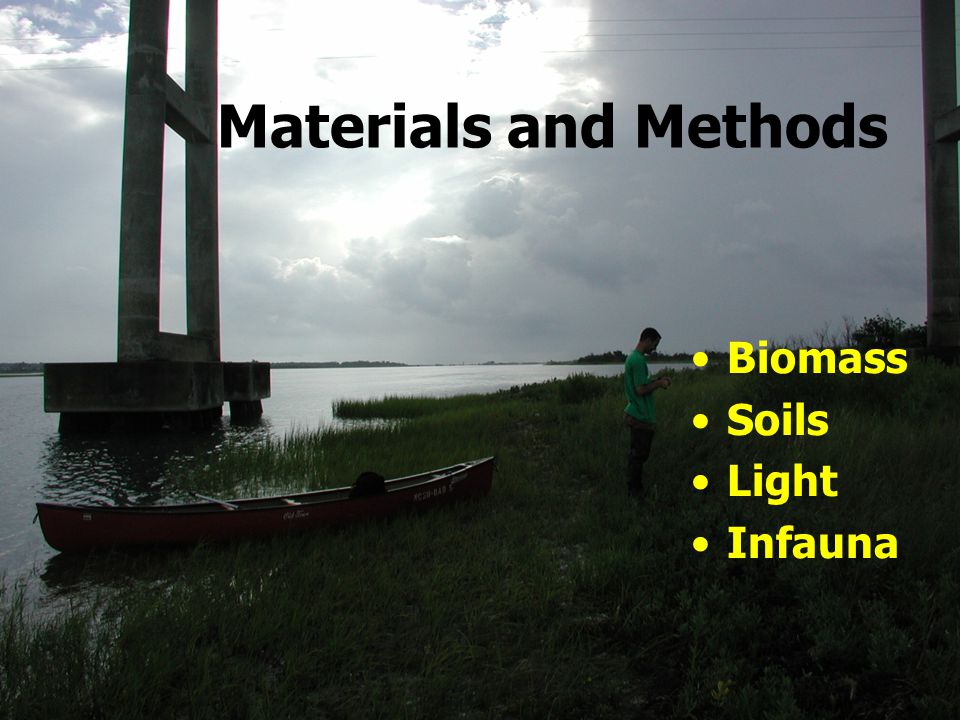 Materials and Methods Biomass Soils Light Infauna
