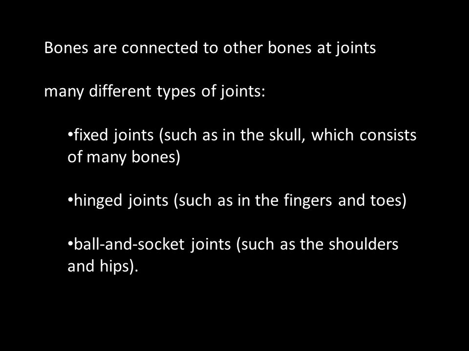 Bones are connected to other bones at joints