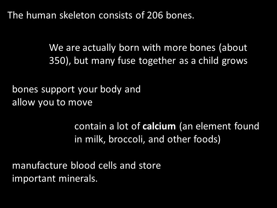 The human skeleton consists of 206 bones.