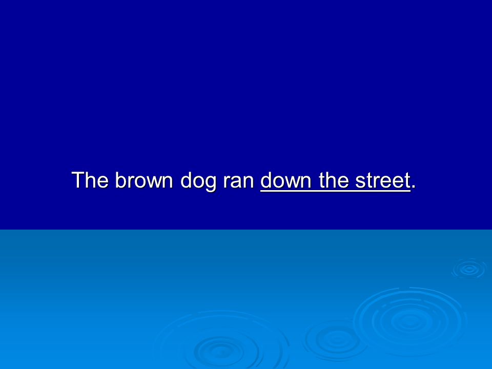 The brown dog ran down the street.