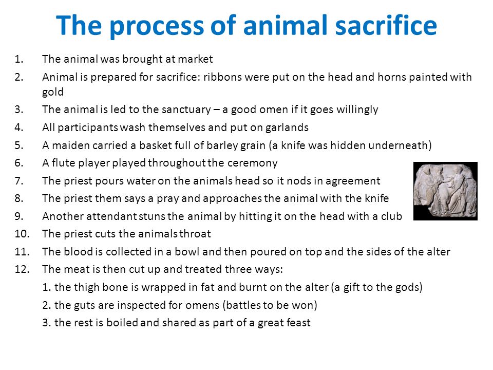 The process of animal sacrifice