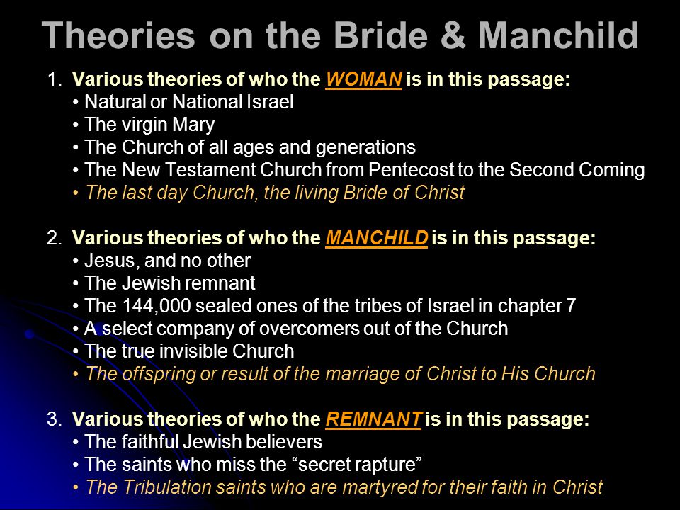 Overview Of The Book Of The Revelation Ppt Video Online
