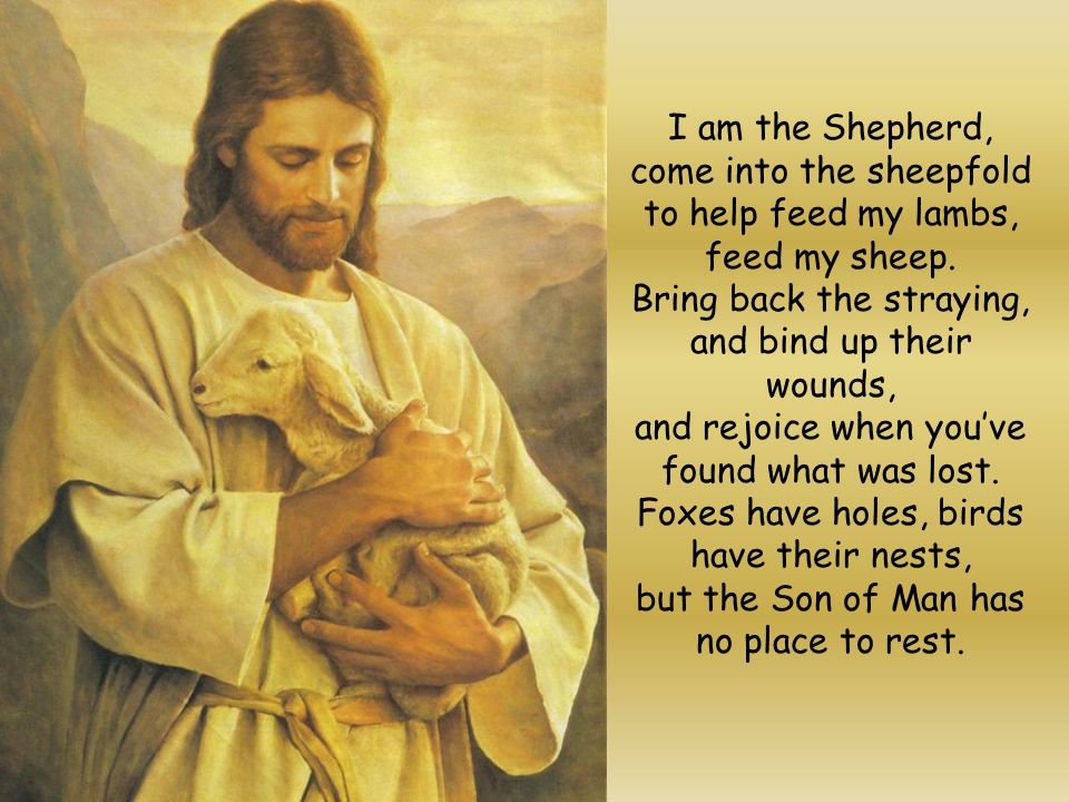 I am the Shepherd, come into the sheepfold