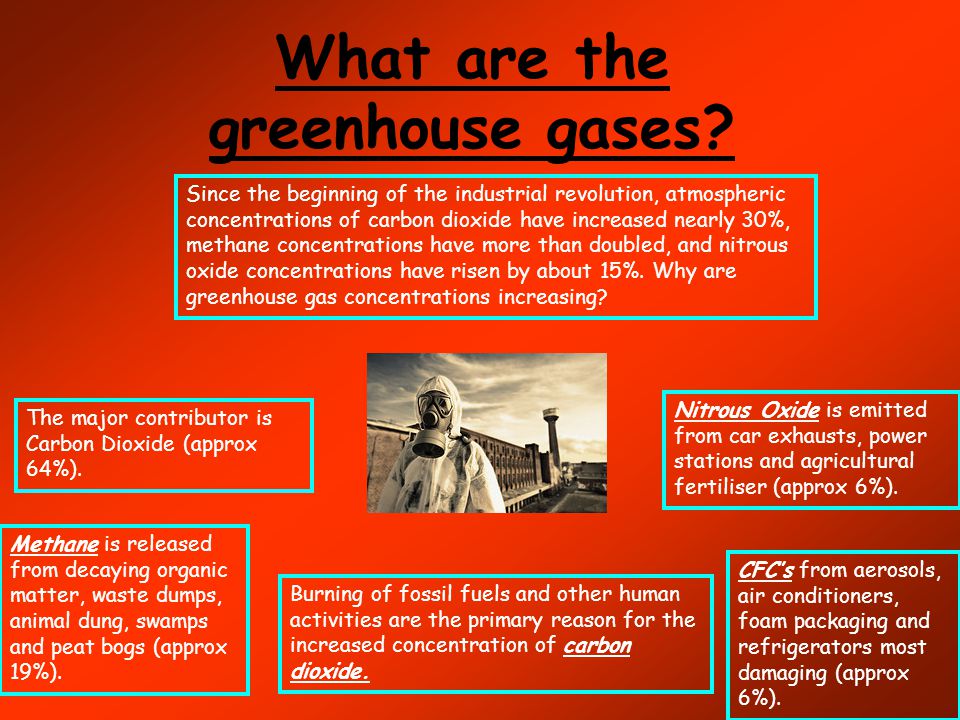 What are the greenhouse gases