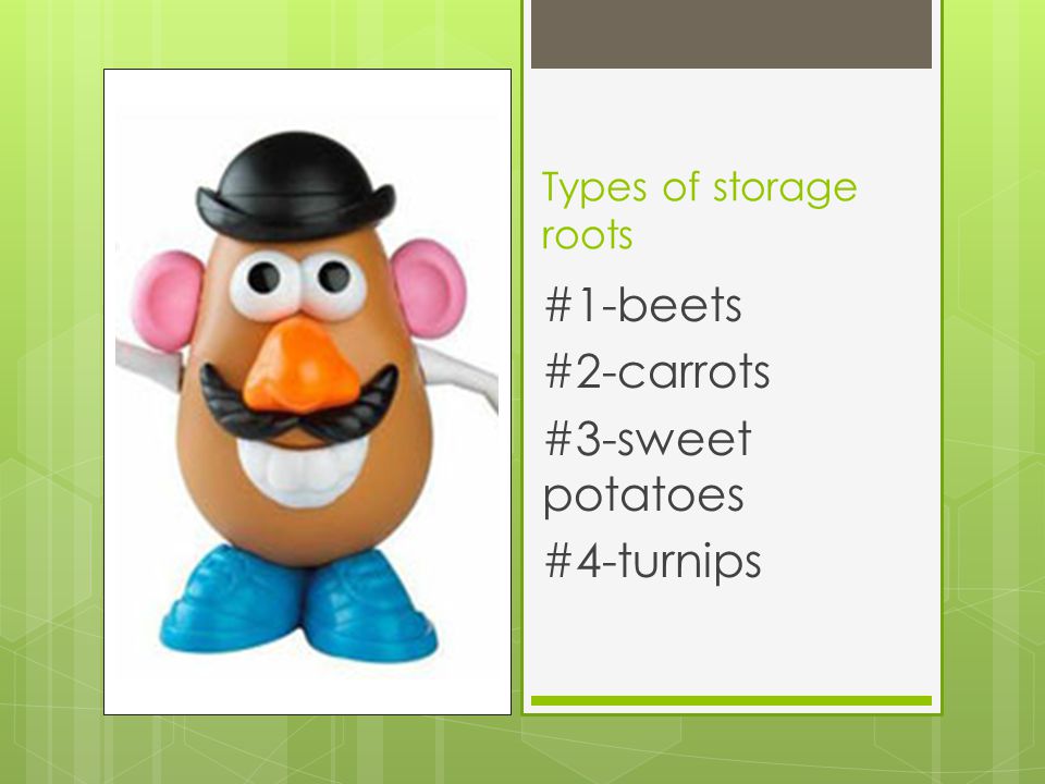 #1-beets #2-carrots #3-sweet potatoes #4-turnips