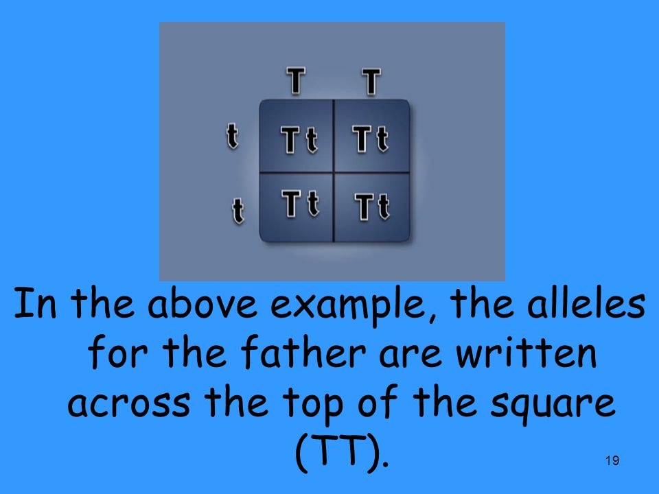 In the above example, the alleles for the father are written across the top of the square (TT).