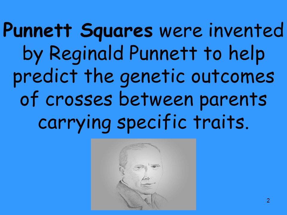 Punnett Squares were invented by Reginald Punnett to help predict the genetic outcomes of crosses between parents carrying specific traits.