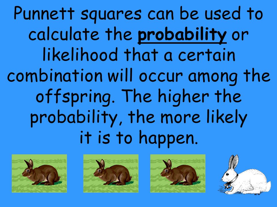 Punnett squares can be used to calculate the probability or likelihood that a certain combination will occur among the offspring.