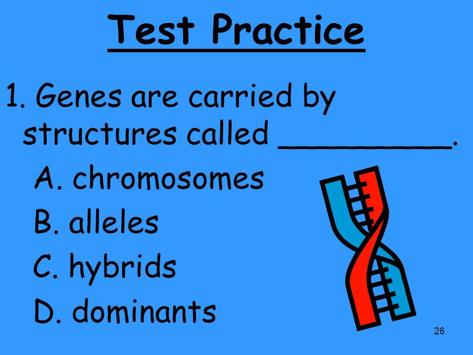 Test Practice 1. Genes are carried by structures called _________.