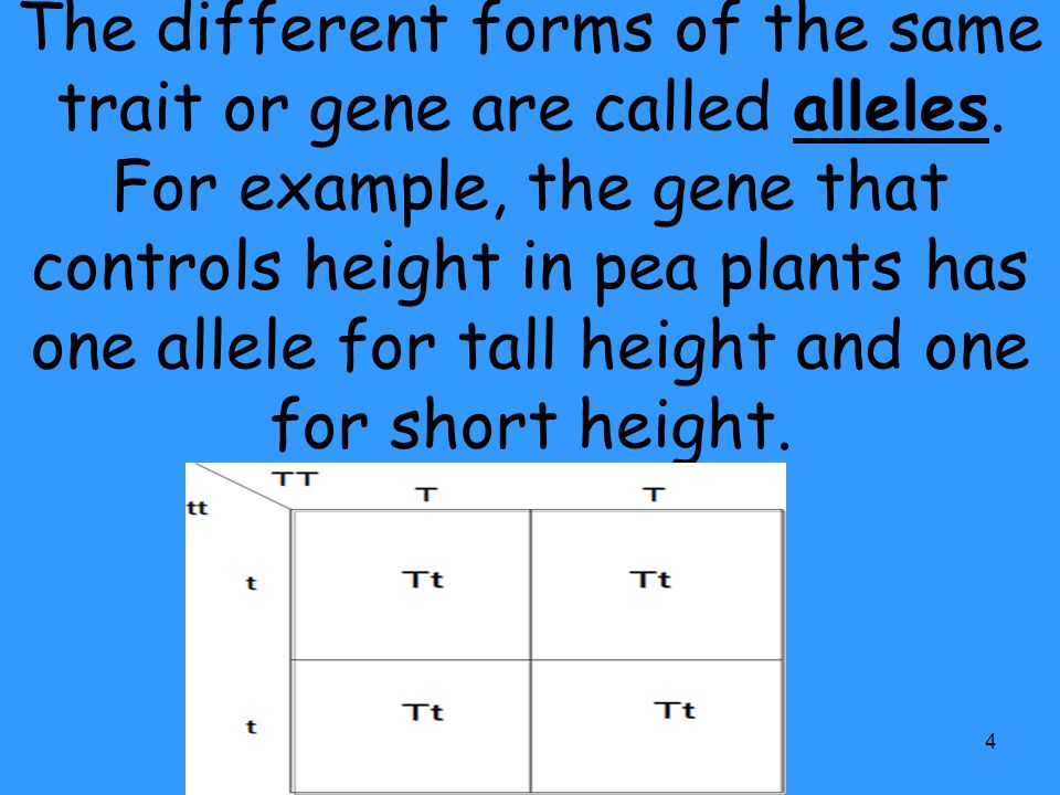 The different forms of the same trait or gene are called alleles