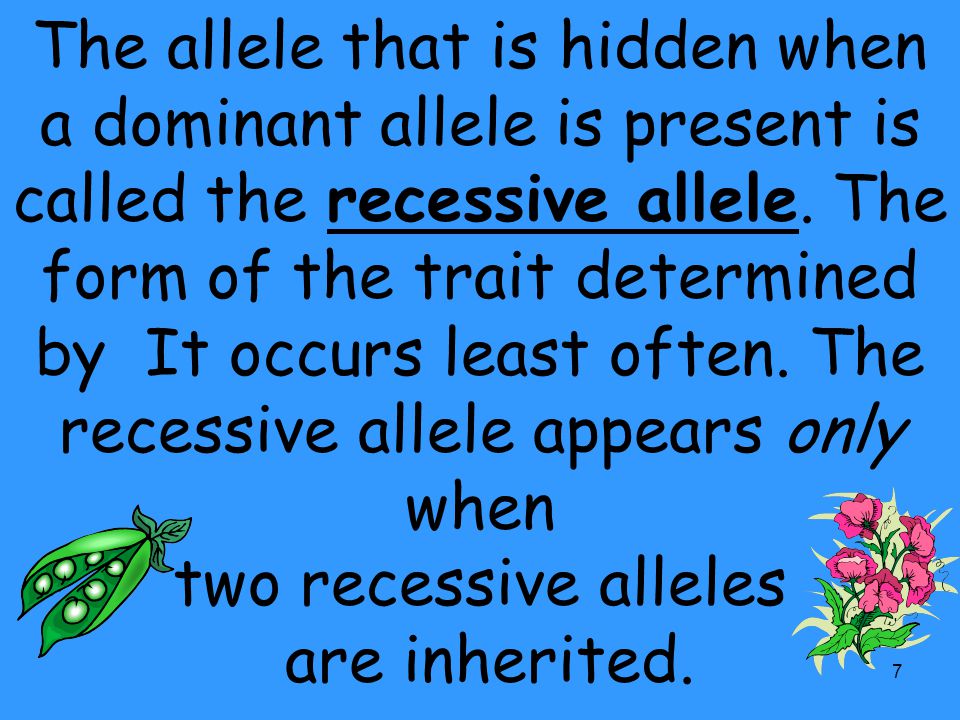 The allele that is hidden when a dominant allele is present is called the recessive allele.