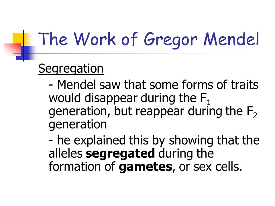 The Work of Gregor Mendel