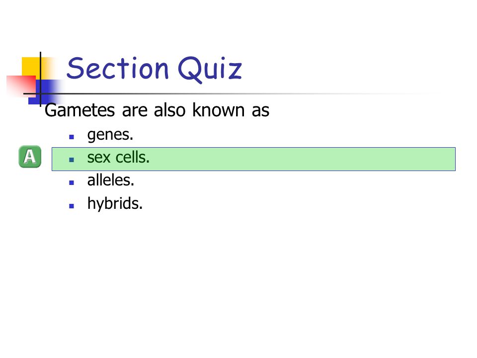 Section Quiz Gametes are also known as genes. sex cells. alleles.