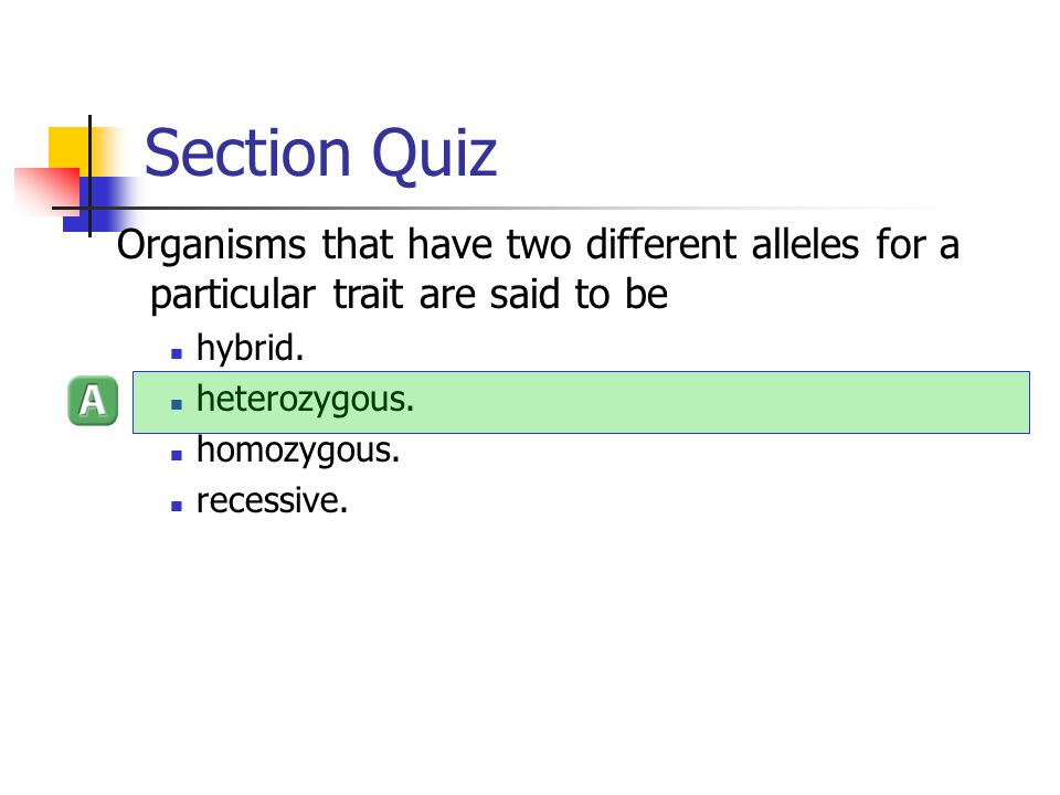 Section Quiz Organisms that have two different alleles for a particular trait are said to be. hybrid.