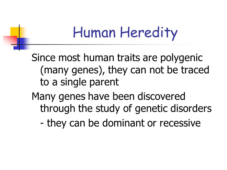 Human Heredity Since most human traits are polygenic (many genes), they can not be traced to a single parent.