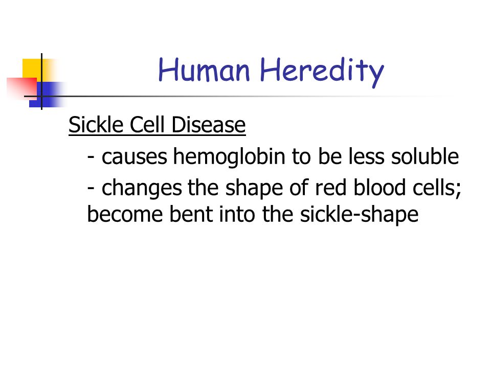 Human Heredity Sickle Cell Disease