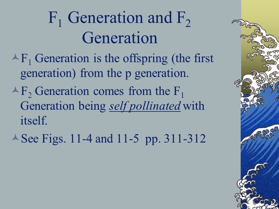 F1 Generation and F2 Generation