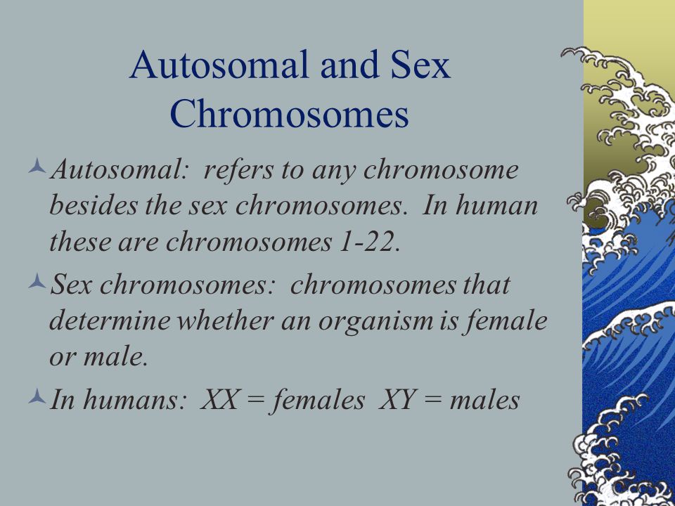 Autosomal and Sex Chromosomes