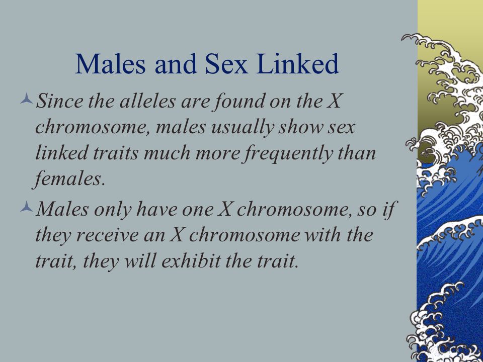 Males and Sex Linked Since the alleles are found on the X chromosome, males usually show sex linked traits much more frequently than females.
